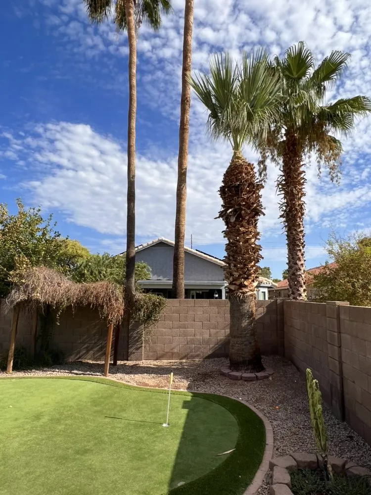 Affordable yard maintenance in Maricopa, AZ by SunValley Home and Business Services