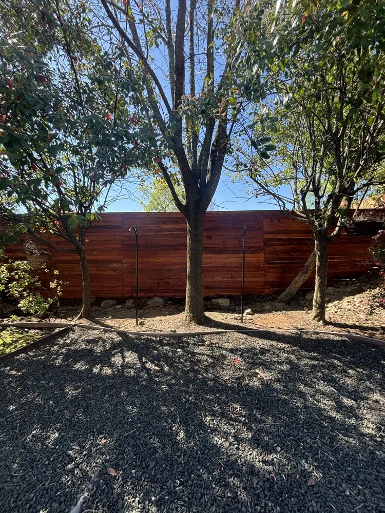 Expert yard cleanup service experts serving Sacramento, CA - Sunview landscape