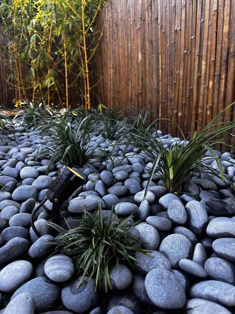 Expert yard cleanup service for beautiful yards across Fort Lauderdale, FL - Sunview Landscaping & pressure cleaning