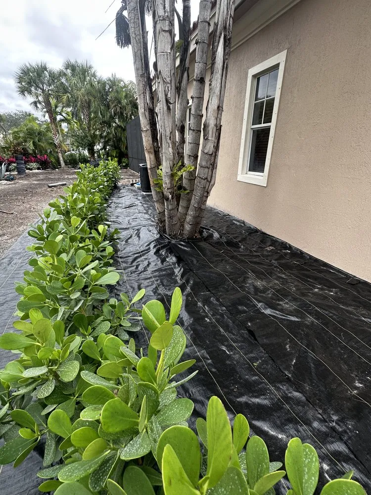 Affordable lawn mowing service for outdoor upgrades across Fort Lauderdale, FL - Sunview Landscaping & pressure cleaning