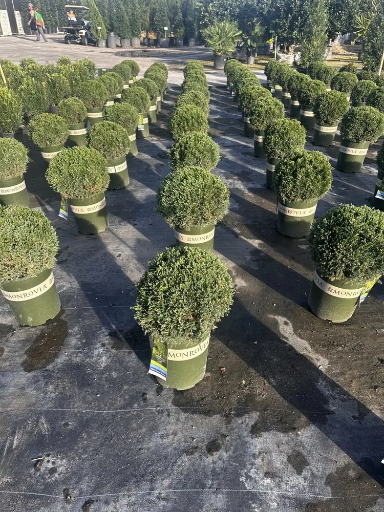 Local landscape design with custom design across Fort Lauderdale, FL - Sunview Landscaping & pressure cleaning
