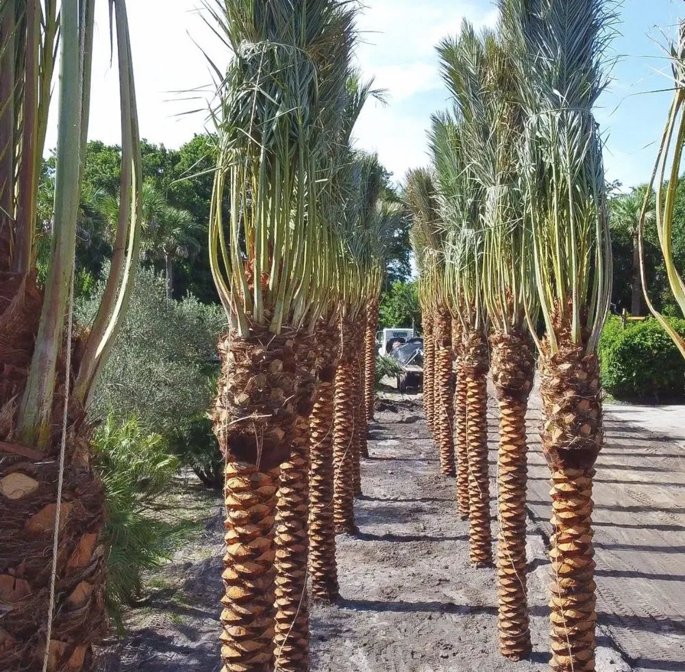 Reliable garden landscaping in Fort Lauderdale, FL by Sunview Landscaping & pressure cleaning