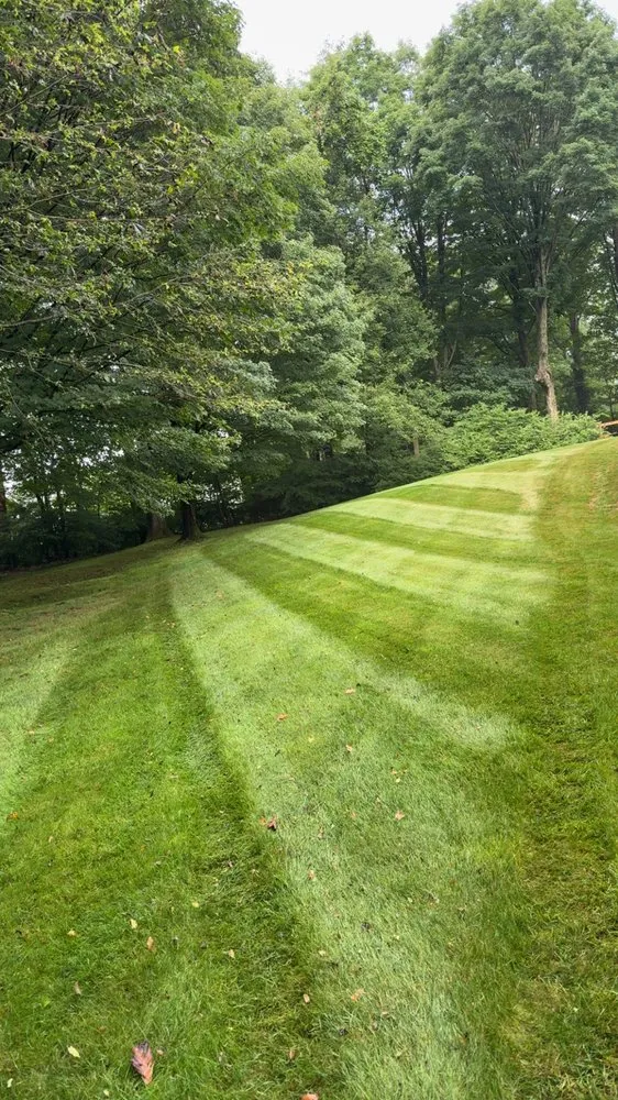 Expert lawn care service experts serving Morris, CT - Sunview Property Service
