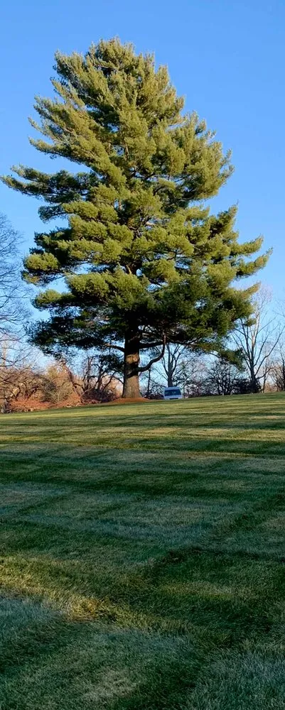 Local landscape installation for residential properties across Morris, CT - Sunview Property Services