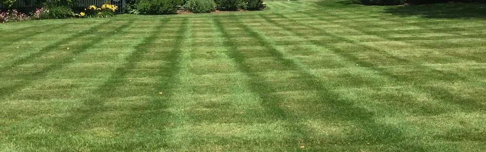 Affordable landscape design for residential properties across Morris, CT - Sunview Property Services