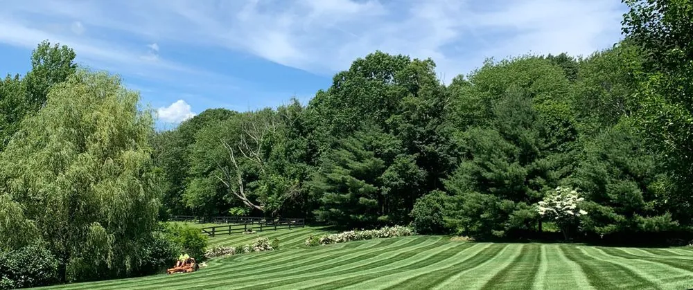 Reliable landscape design in Morris, CT - Sunview Property Services