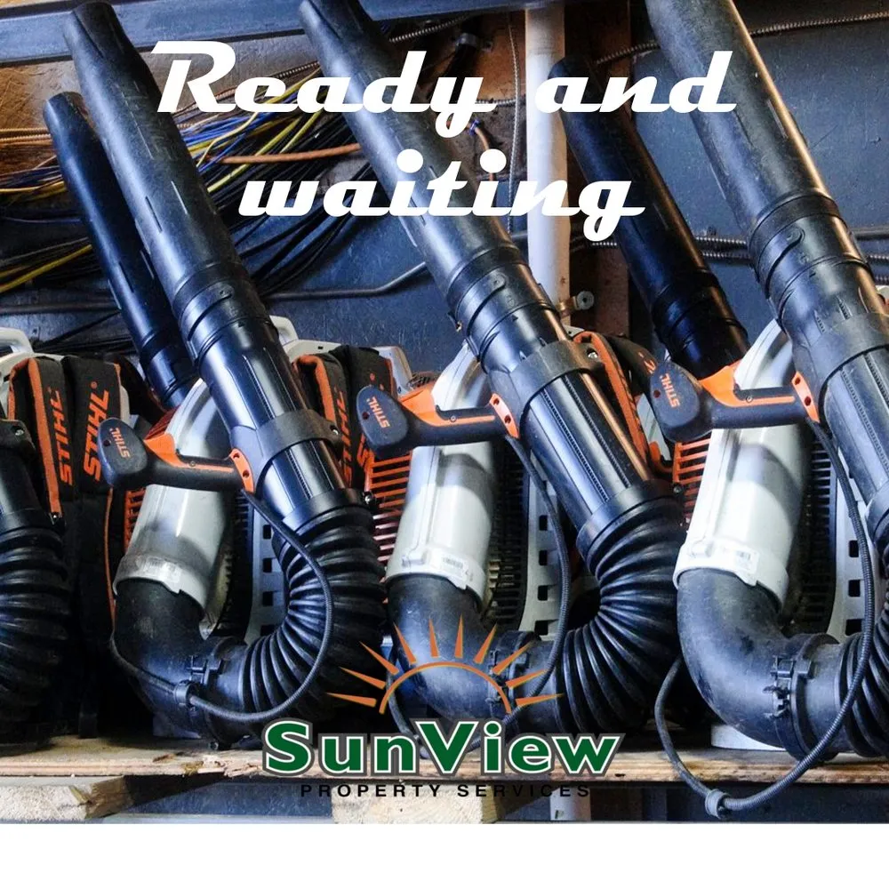 Local yard cleanup service near you across Morris, CT - Sunview Property Services