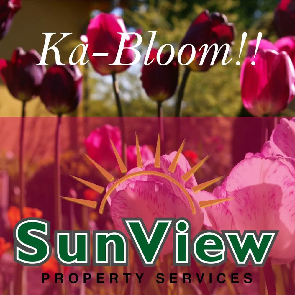 Local garden landscaping for residential properties in Morris, CT by Sunview Property Services