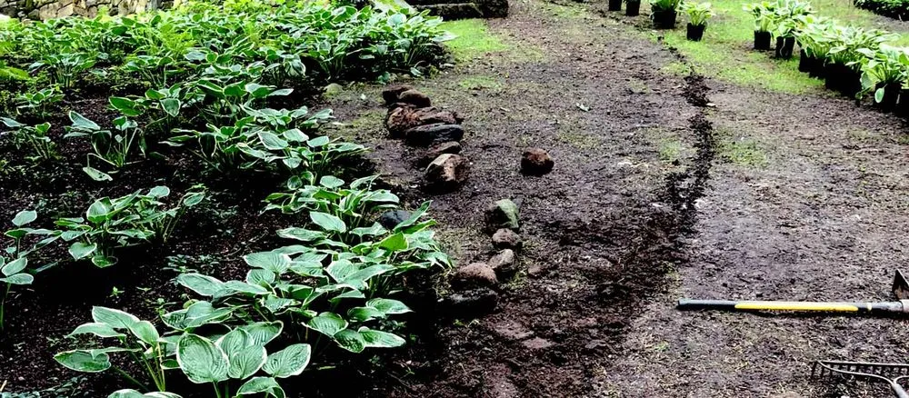 Expert lawn mowing service experts serving Morris, CT - Sunview Property Services