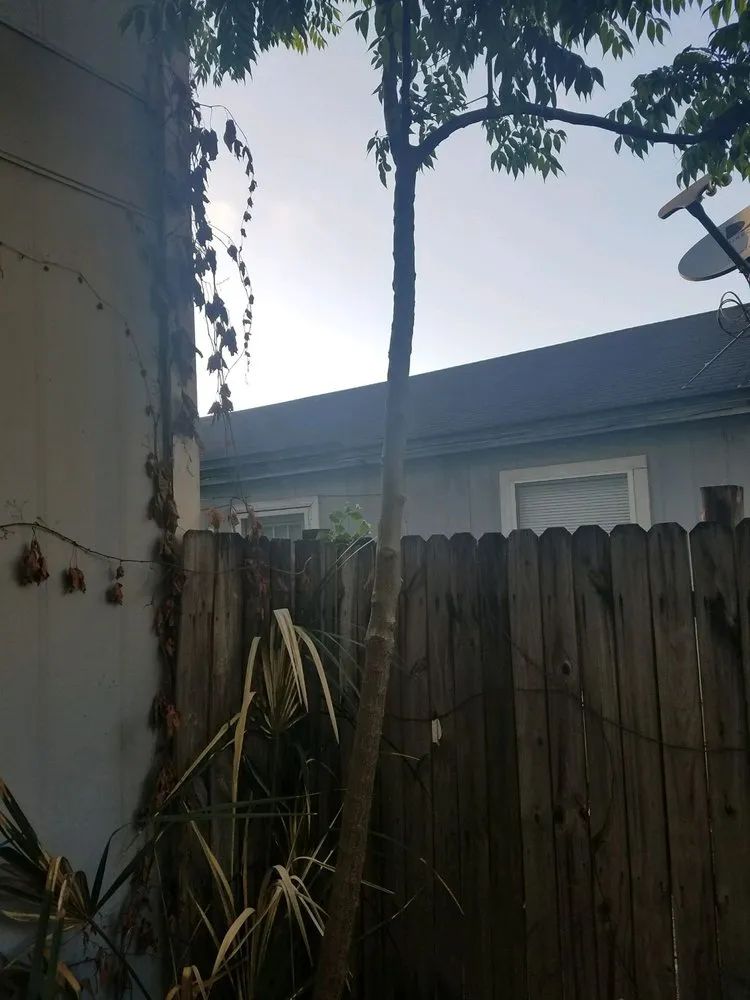 Expert residential landscaping in Jacksonville, FL by Sunway Landscape Services