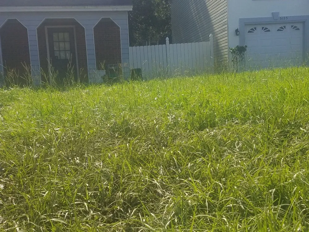 Affordable lawn care service with custom design across Jacksonville, FL - Sunway Landscape Services