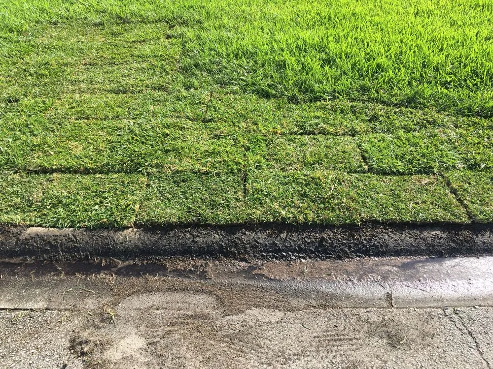 Local landscape installation near you in Jacksonville, FL by Sunway Landscape Services