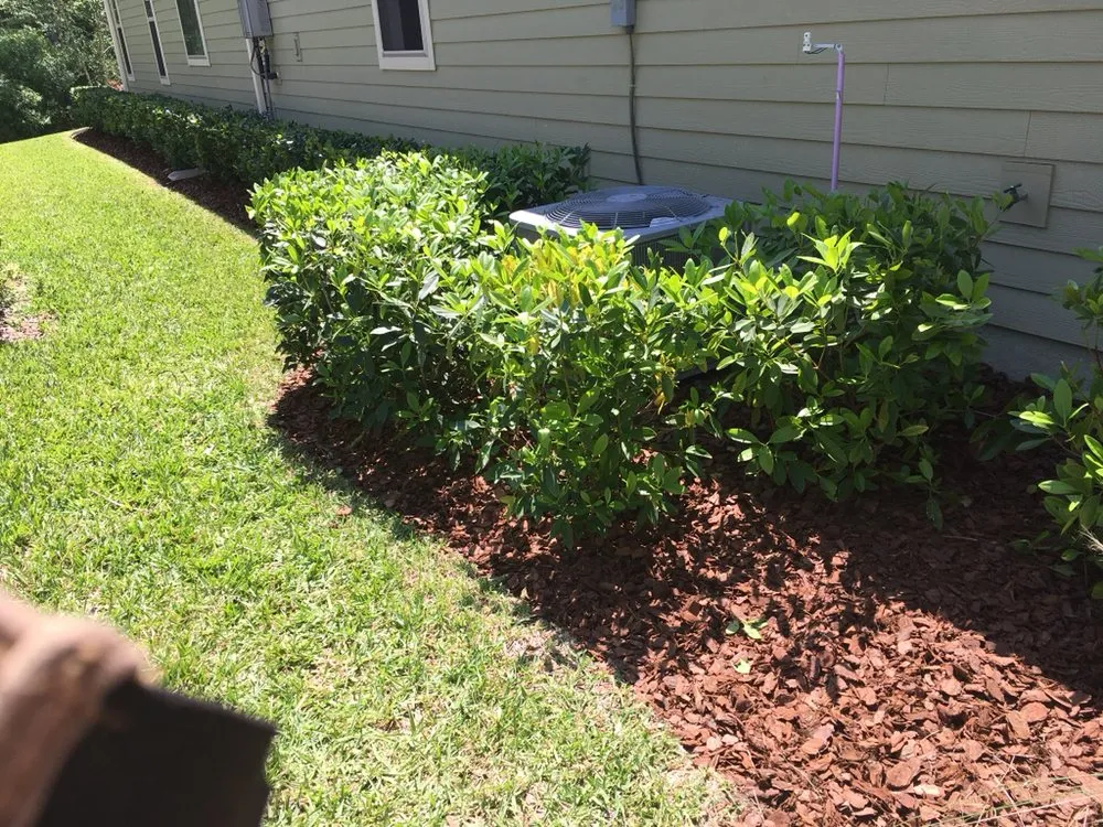 Affordable landscape installation experts serving Jacksonville, FL - Sunway Landscape Services