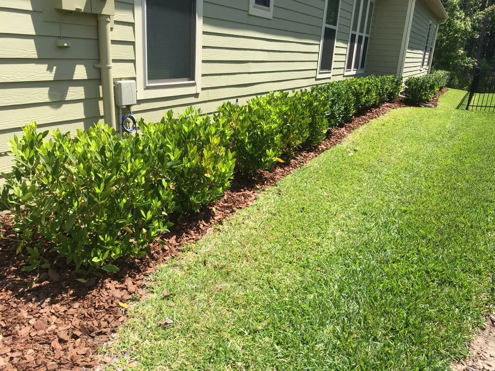 Professional lawn mowing service with custom design in Jacksonville, FL by Sunway Landscape Services