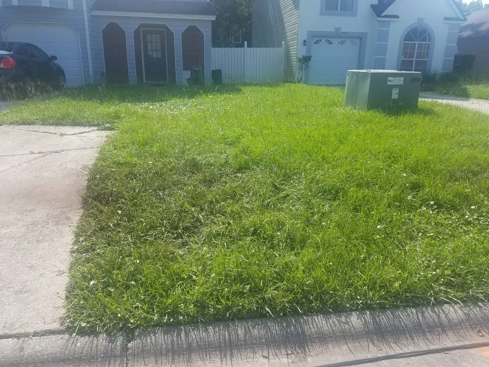 Top-rated lawn care service in Jacksonville, FL by Sunway Landscape Services