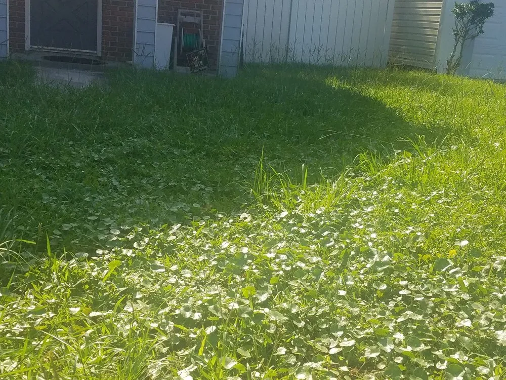 Expert lawn mowing service near you in Jacksonville, FL by Sunway Landscape Services