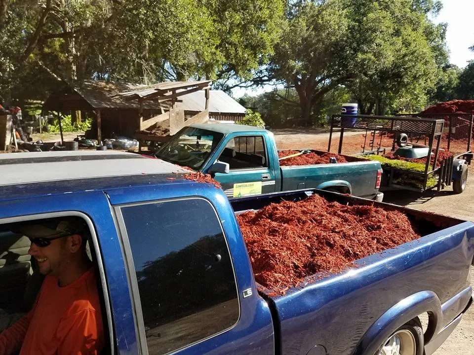 Affordable landscaping services for outdoor upgrades in Jacksonville, FL by Sunway Landscape Services