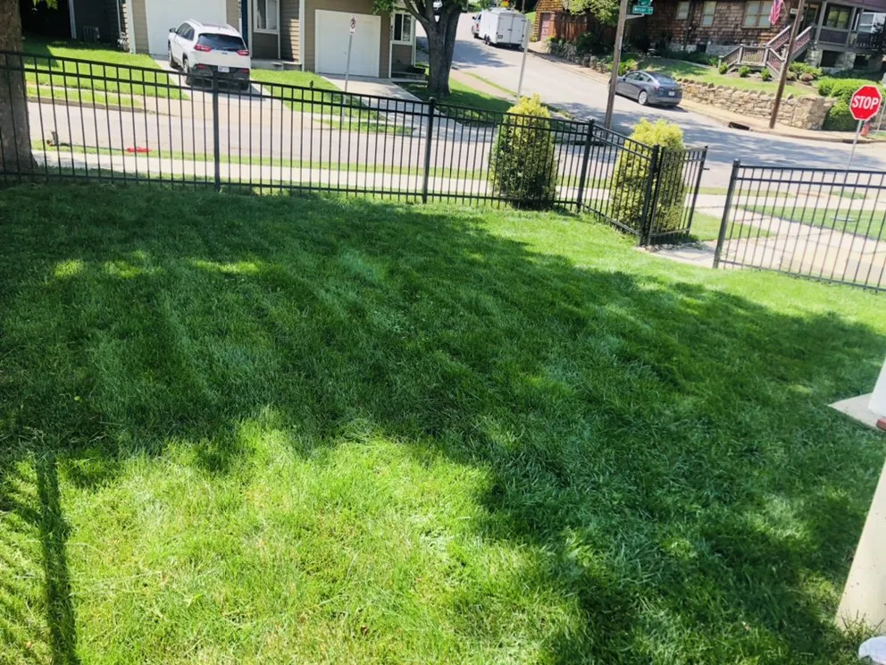 Trusted lawn mowing service in Kansas City, MO - Supa Clean Lawns KC