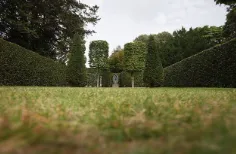 Local lawn care service with custom design in Hampton, VA by Supa Cutz Lawn Care