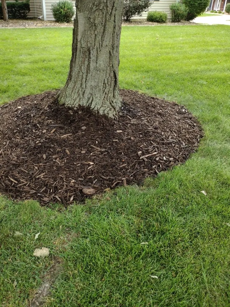 Affordable lawn mowing service in Davenport, IA by Supafrendz Lawn Care Service