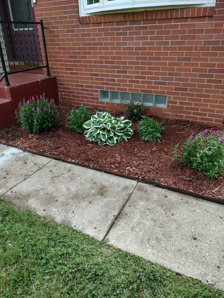 Custom yard cleanup service in Davenport, IA by Supafrendz Lawn Care Service