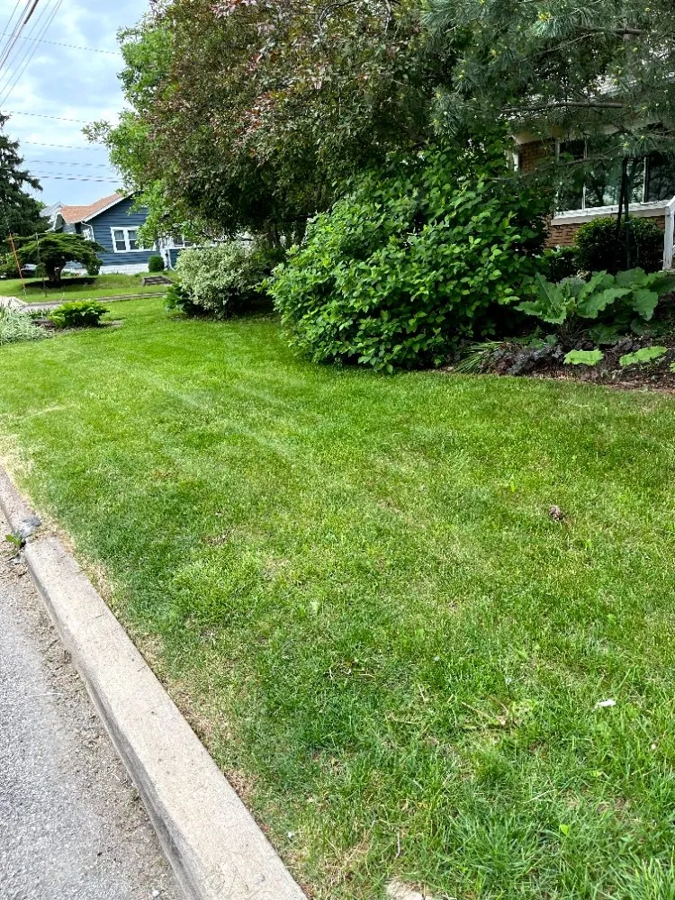 Custom landscape design in Davenport, IA - Supafrendz Lawn Care Service