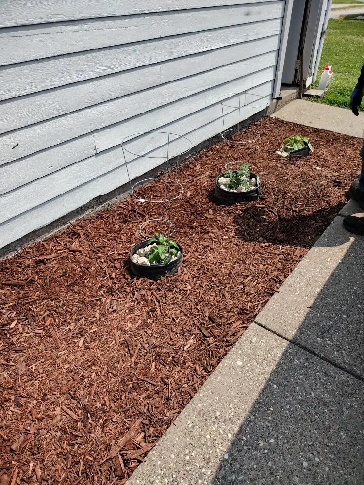 Trusted outdoor landscaping in Davenport, IA by Supafrendz Lawn Care Service