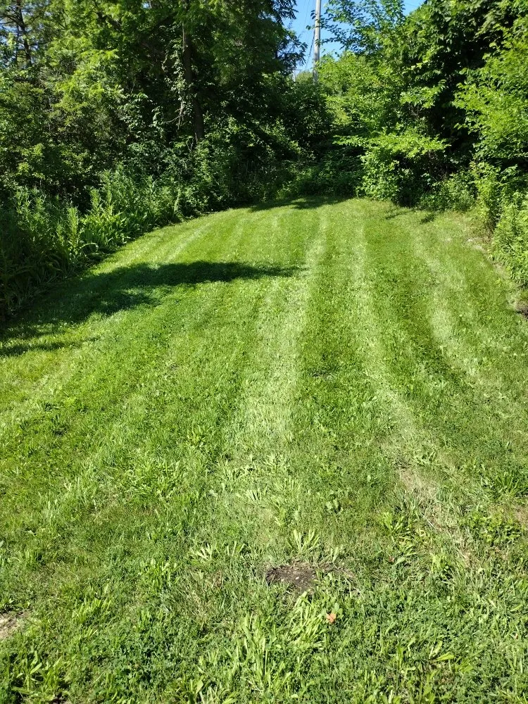 Expert lawn care service in Davenport, IA - Supafrendz Lawn Care Service