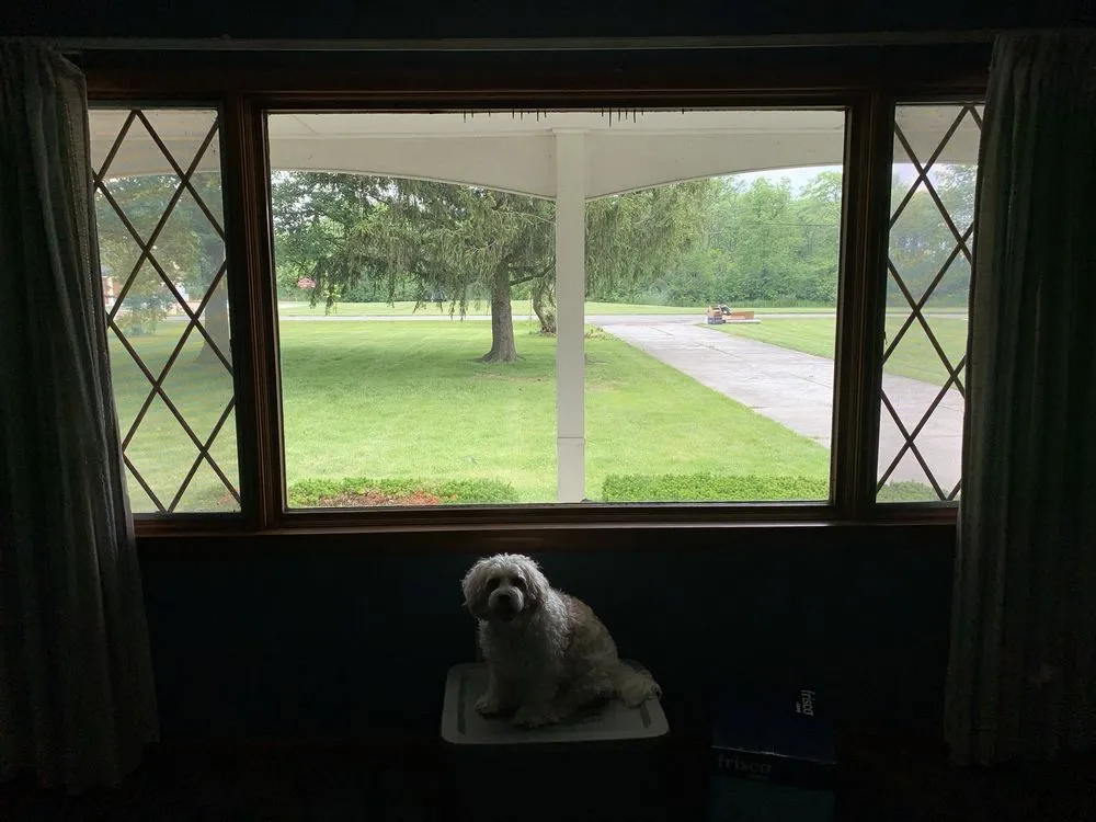 Top-rated garden landscaping experts serving Lima, OH - Supahandy