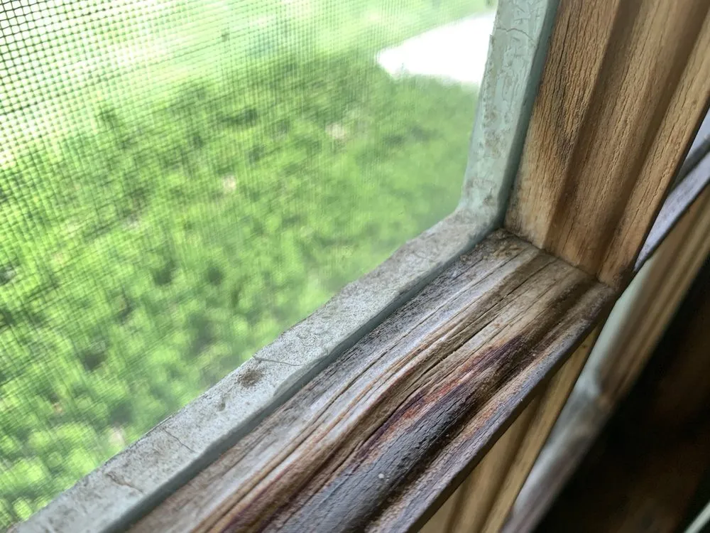 Professional residential landscaping experts serving Lima, OH - Supahandy