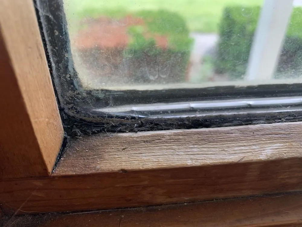 Professional garden landscaping with custom design in Lima, OH by Supahandy