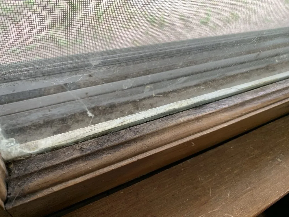 Trusted yard cleanup service in Lima, OH by Supahandy