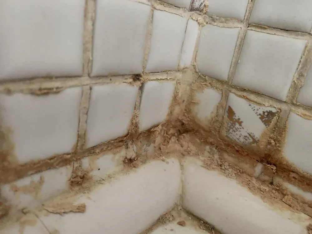 Reliable residential landscaping with custom design across Lima, OH - Supahandy