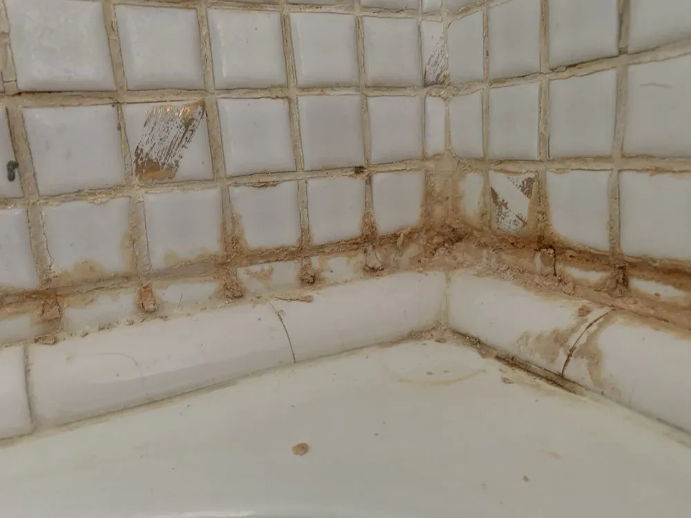 Expert landscape installation for beautiful yards across Lima, OH - Supahandy