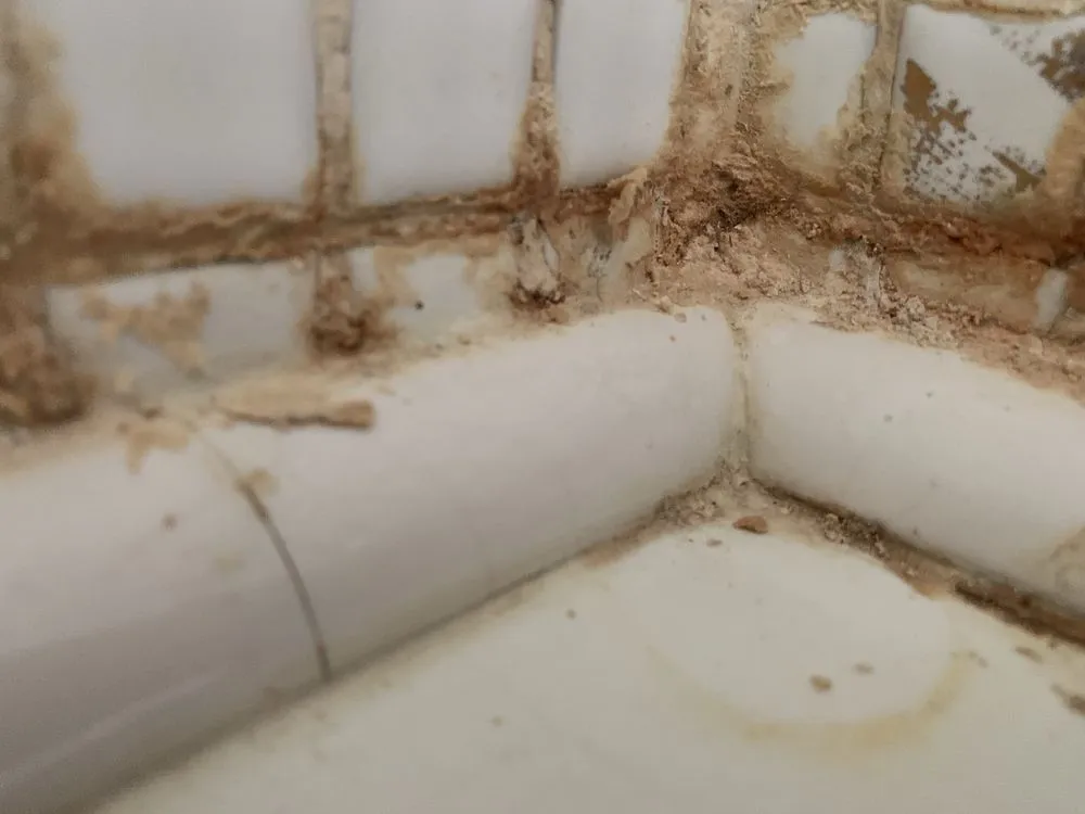 Expert outdoor landscaping for beautiful yards across Lima, OH - Supahandy