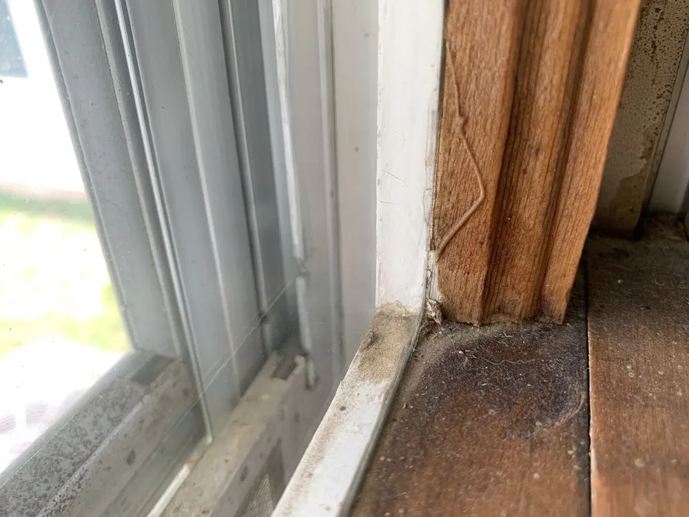 Professional residential landscaping for residential properties in Lima, OH by Supahandy