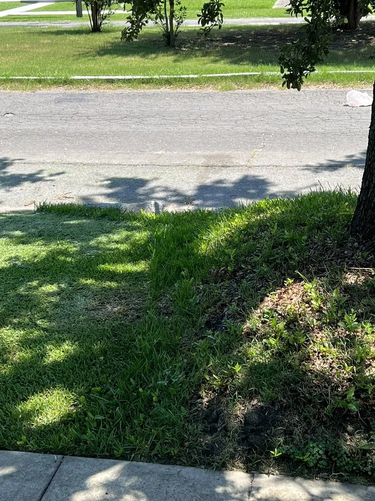 Professional outdoor landscaping experts serving Marrero, LA - Supaman Lawncare