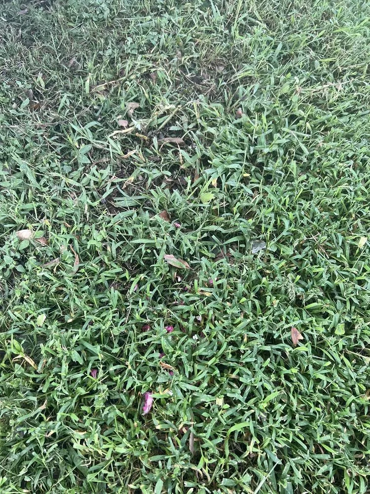 Affordable residential landscaping in Marrero, LA by Supaman Lawncare