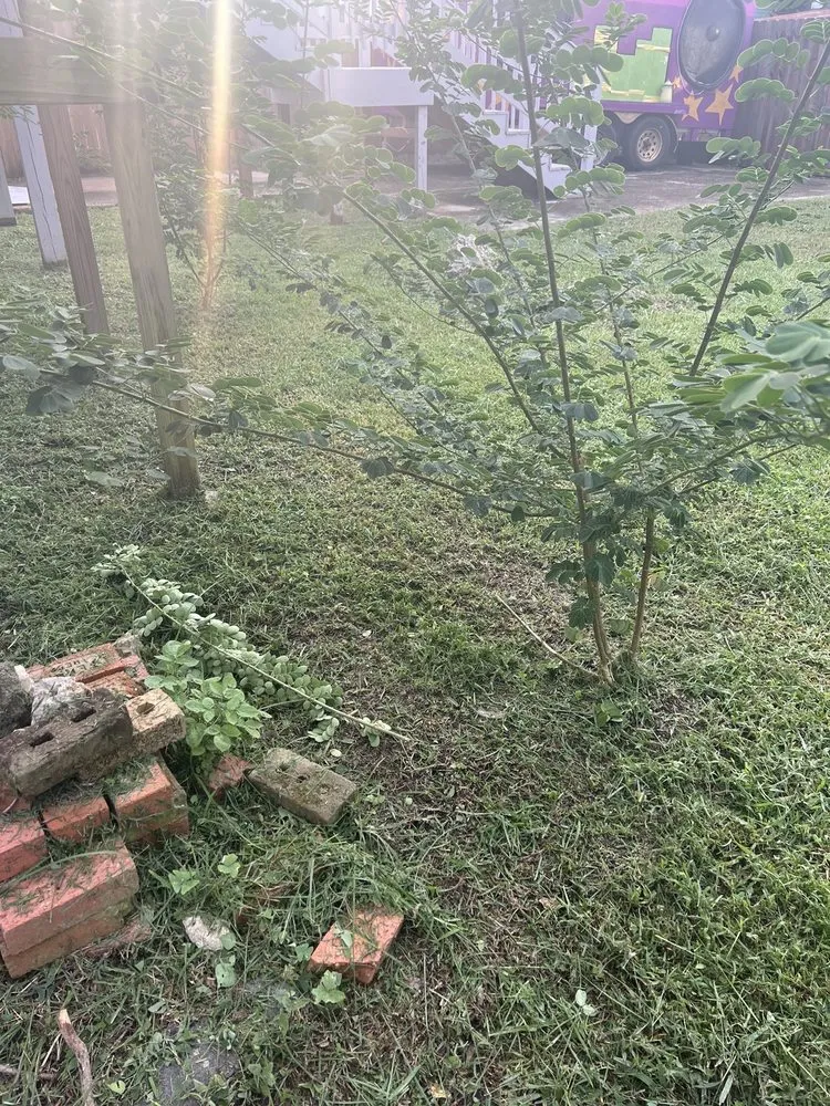 Custom yard cleanup service for residential properties in Marrero, LA by Supaman Lawncare