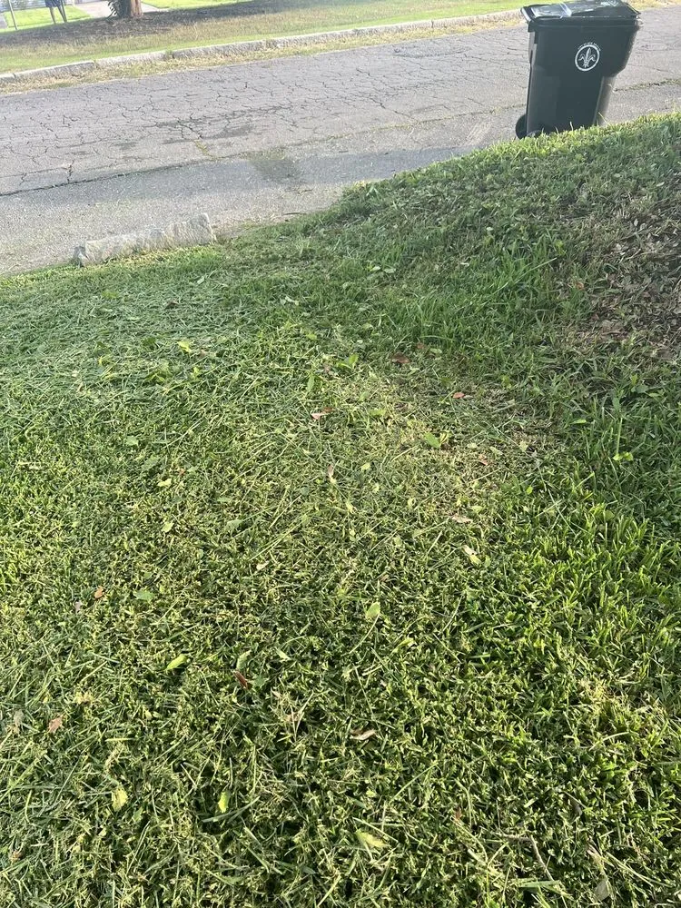 Top-rated yard cleanup service experts serving Marrero, LA - Supaman Lawncare