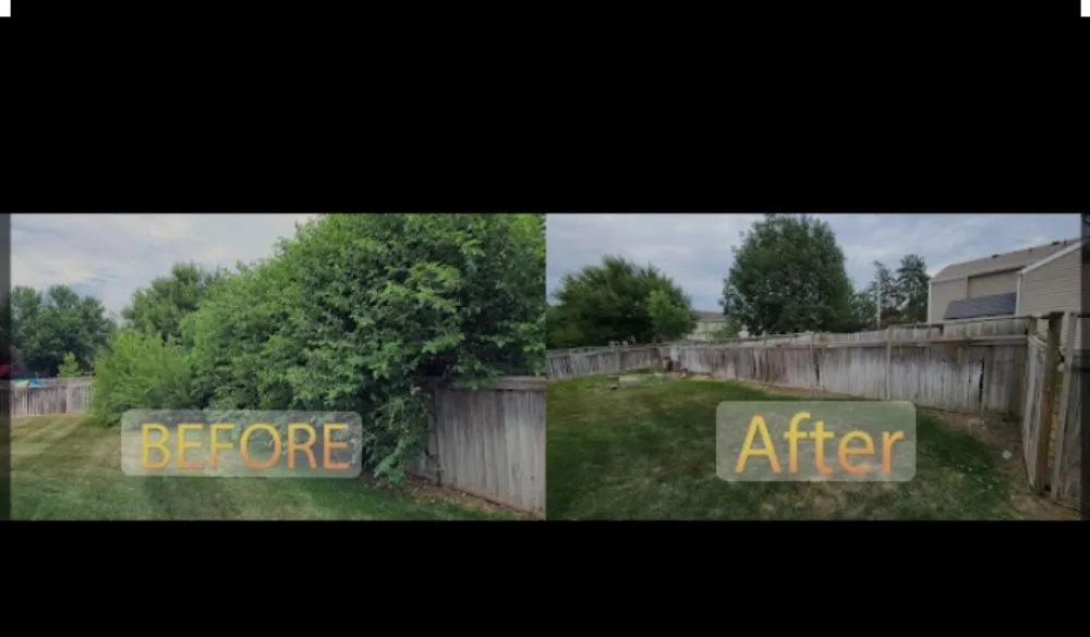 Affordable lawn care service experts serving Mesa, AZ - Super Clean Landscape