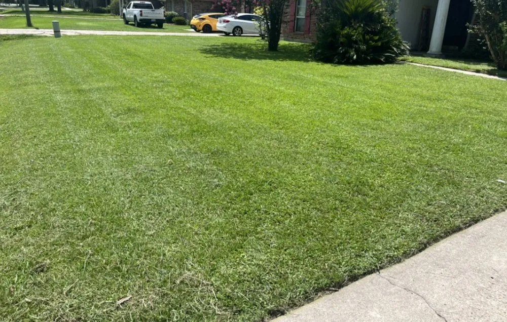 Custom lawn mowing service with custom design in Baton Rouge, LA by Super Cleaners