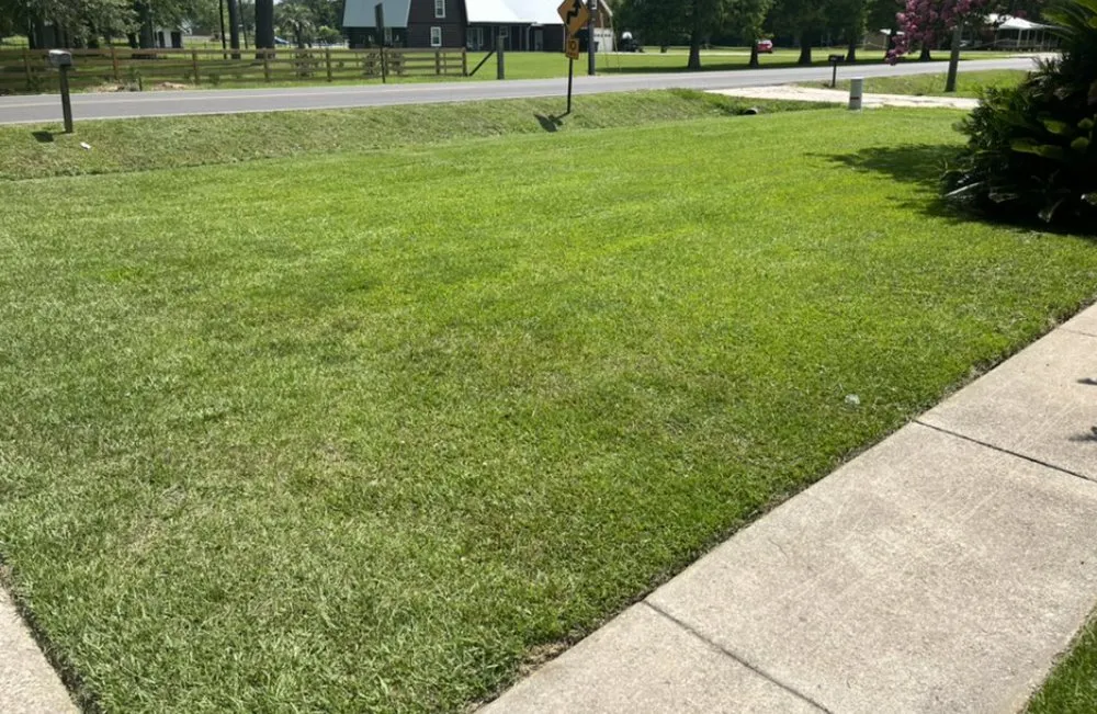 Professional lawn mowing service with custom design in Baton Rouge, LA by Super Cleaners