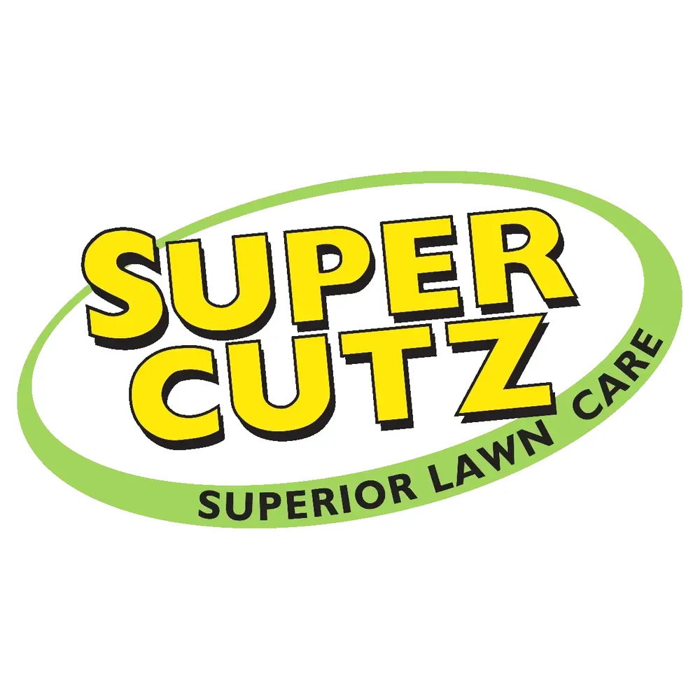 Top-rated landscaping services for year-round maintenance across Chandler, IN - Super Cutz