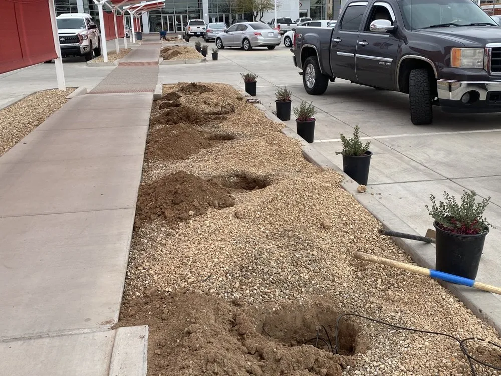 Custom lawn care service for beautiful yards across Buckeye, AZ - Super Dope