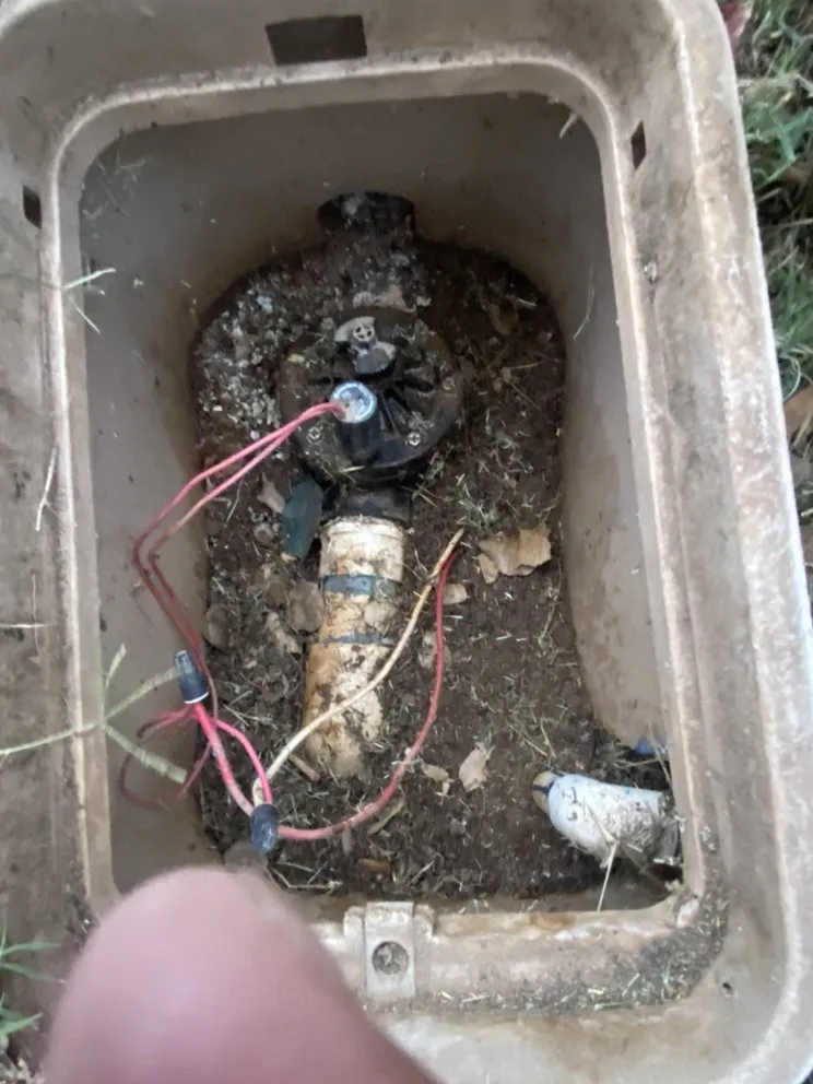 Expert garden landscaping for year-round maintenance in Buckeye, AZ by Super Dope