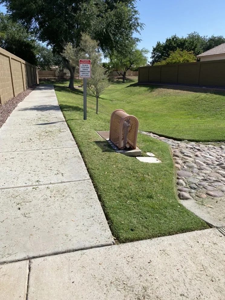 Local landscape installation in Buckeye, AZ - Super Dope