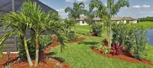 Top-rated landscaping services experts serving Venice, FL - Super Fronds