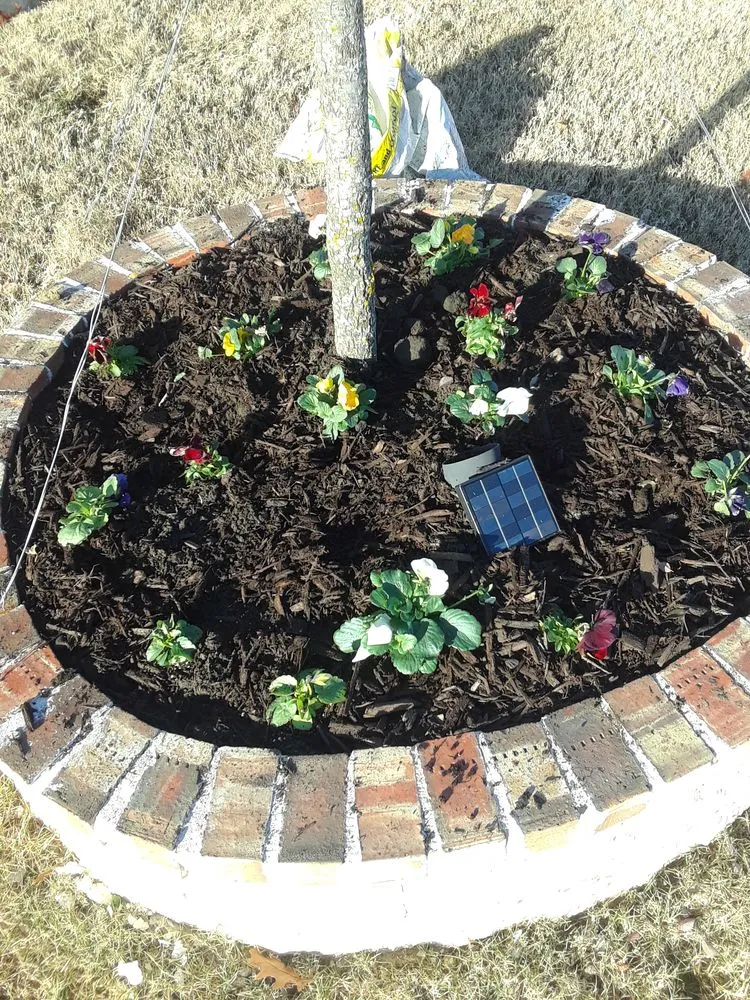 Professional garden landscaping near you across Irving, TX - Super Grass Landscape