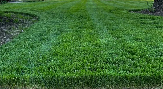 Reliable landscape design in Cortland, OH by Super Green Lawn Service